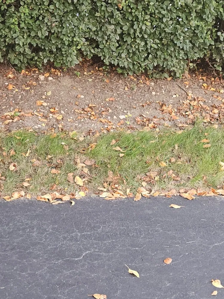 Trusted lawn care service in Bolingbrook, IL - Sebert Landscaping