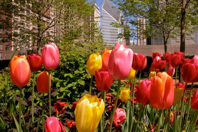 Professional garden landscaping in Elk Grove Village, IL by Sebert Landscaping