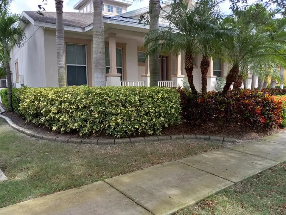 Expert outdoor landscaping experts serving Wimauma, FL - Second 2 None Artisan Landscape Curbing