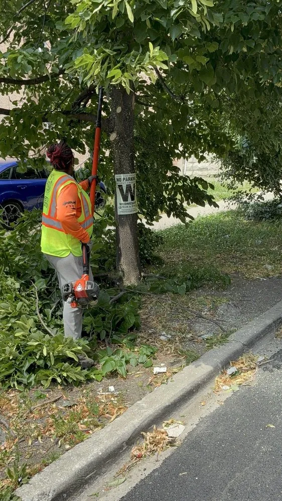 Trusted landscape design near you in Chicago, IL by Second Chance Landscape