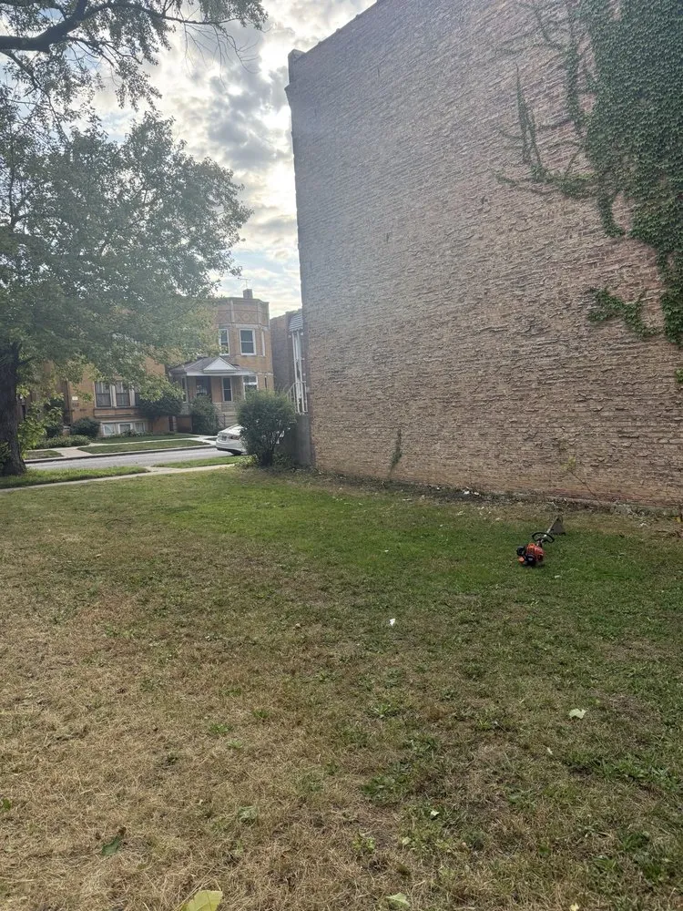 Reliable yard maintenance in Chicago, IL by Second Chance Landscape