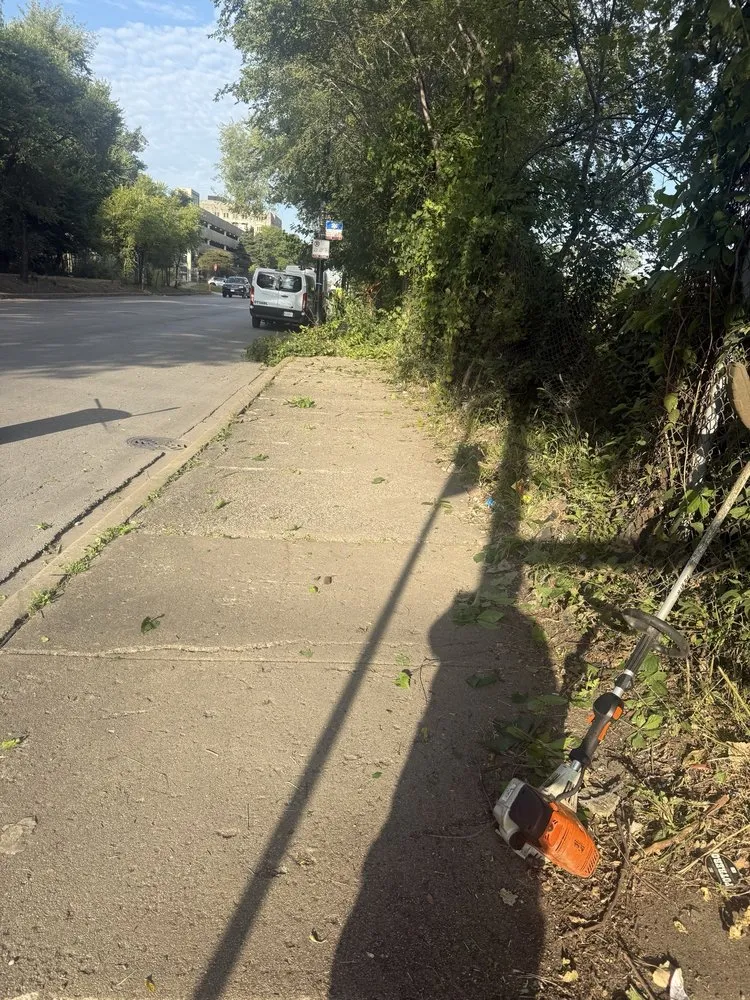 Affordable lawn care service for beautiful yards across Chicago, IL - Second Chance Landscape