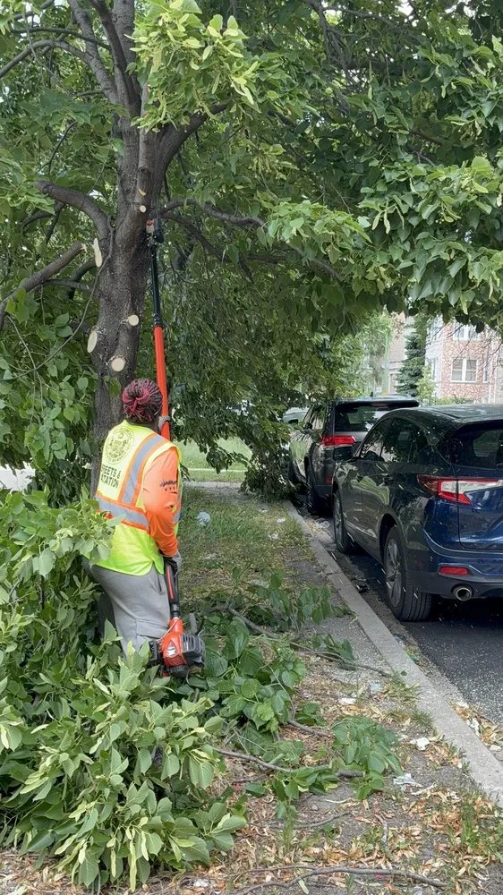 Affordable outdoor landscaping near you in Chicago, IL by Second Chance Landscape