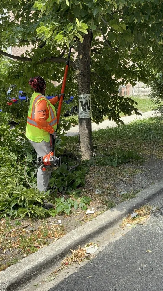 Expert landscaping services in Chicago, IL by Second Chance Landscape