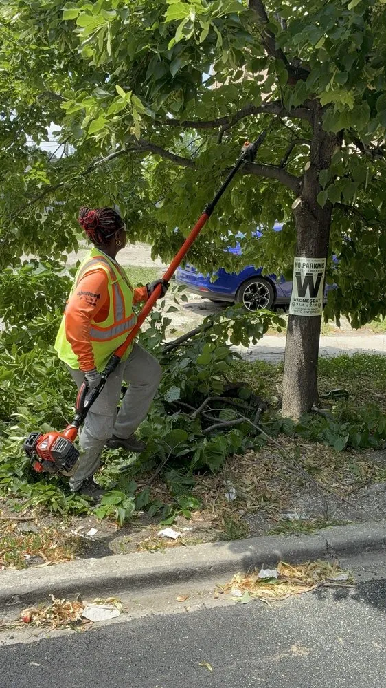 Affordable landscaping services experts serving Chicago, IL - Second Chance Landscape