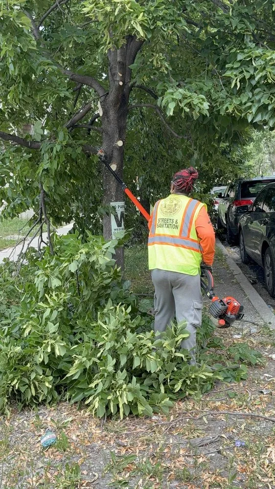 Trusted landscape installation near you across Chicago, IL - Second Chance Landscape