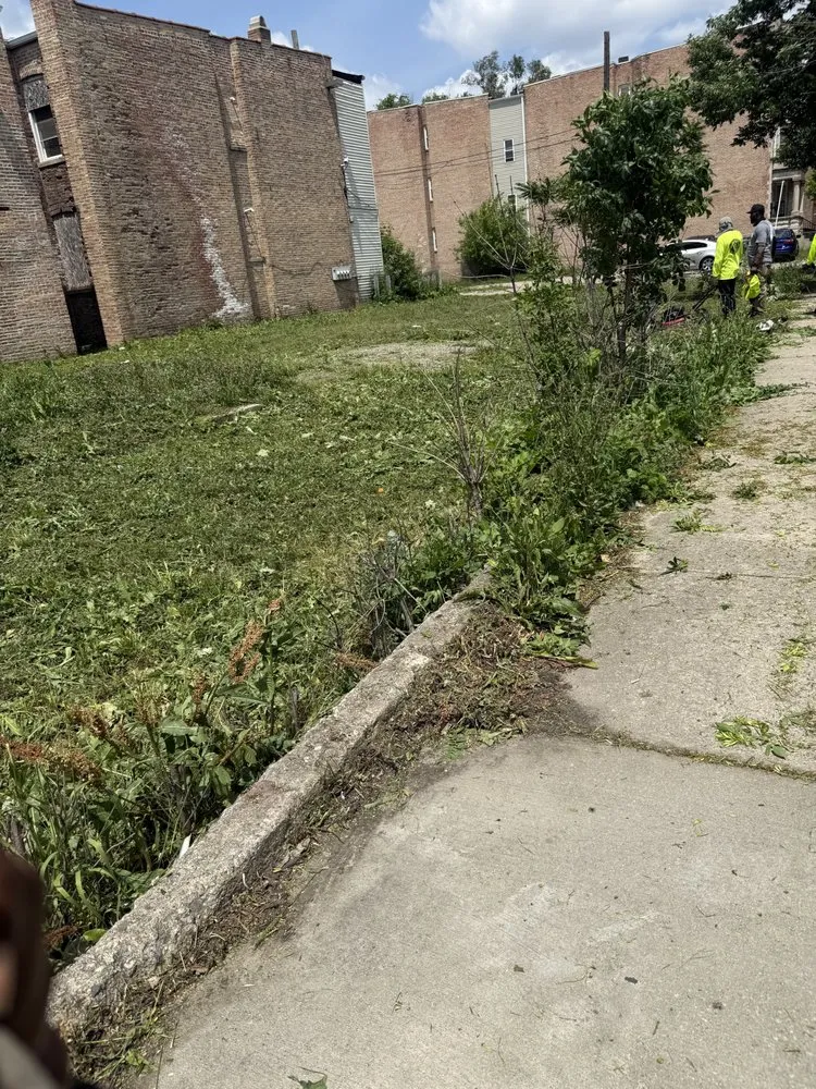 Affordable landscape design in Chicago, IL by Second Chance Landscape