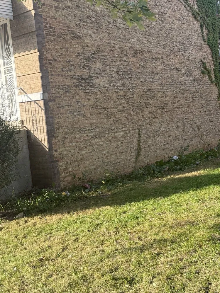 Top-rated landscape installation for homes across Chicago, IL - Second Chance Landscape