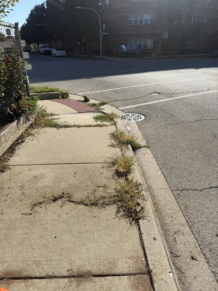 Reliable landscaping services in Chicago, IL - Second Chance Landscaping