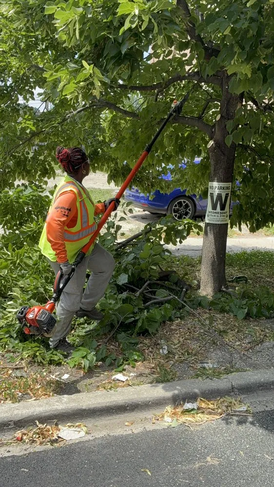 Custom residential landscaping for year-round maintenance in Chicago, IL by Second Chance Landscaping