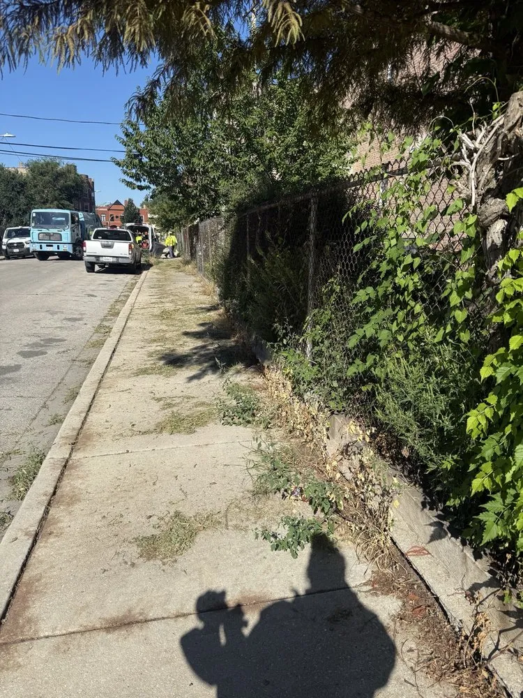 Local yard cleanup service experts serving Chicago, IL - Second Chance Landscaping