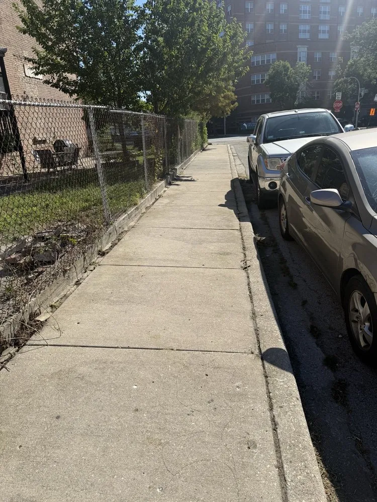 Reliable yard cleanup service for year-round maintenance across Chicago, IL - Second Chance Landscaping