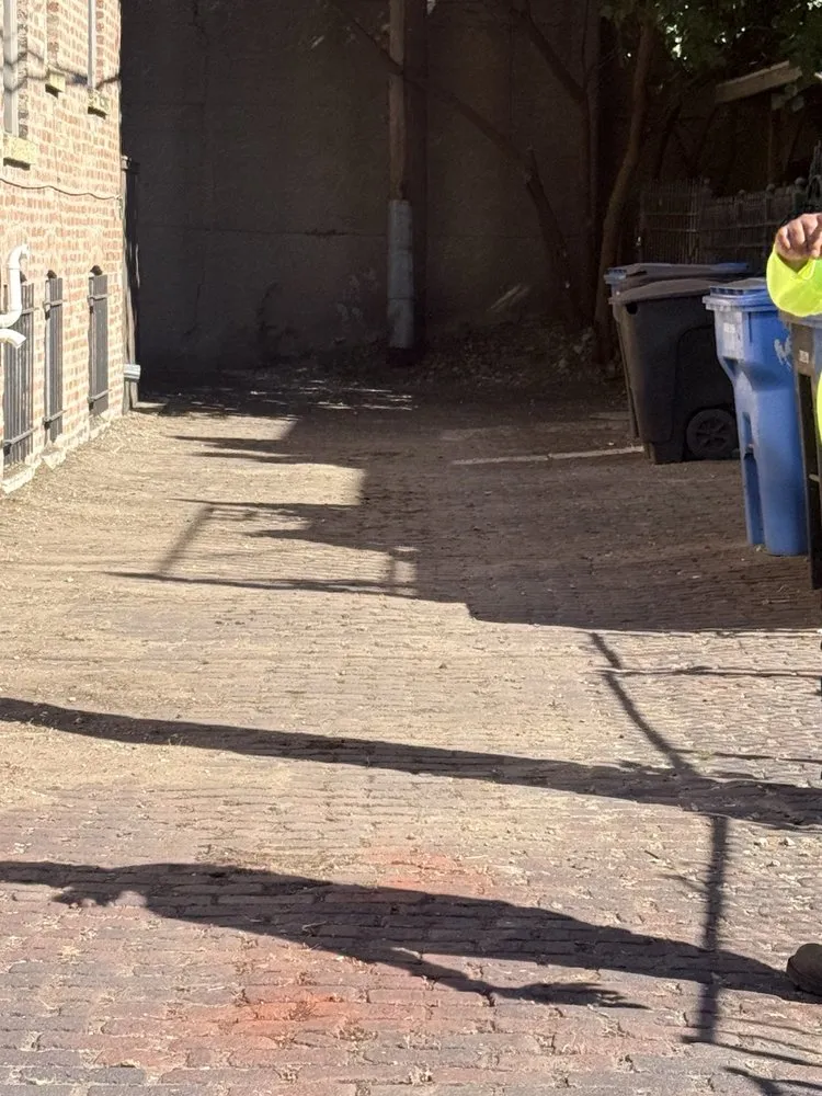 Top-rated outdoor landscaping in Chicago, IL by Second Chance Landscaping