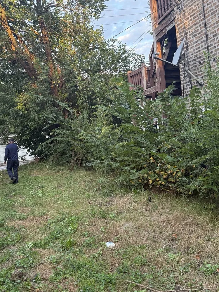 Professional lawn mowing service with custom design in Chicago, IL by Second Chance Landscaping