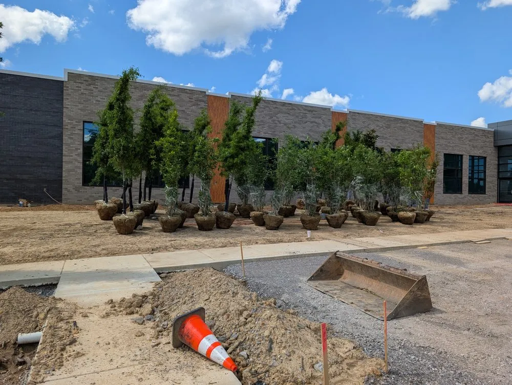 Affordable landscaping services in Knoxville, TN by Second Chance Landscaping