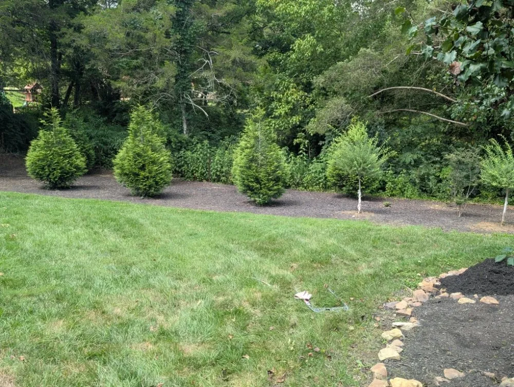 Trusted lawn mowing service with custom design across Knoxville, TN - Second Chance Landscaping