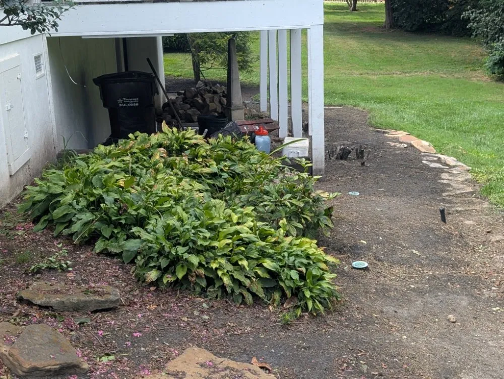 Trusted landscape design for year-round maintenance in Knoxville, TN by Second Chance Landscaping