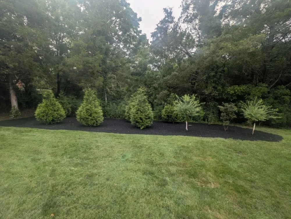Professional landscape design experts serving Knoxville, TN - Second Chance Landscaping