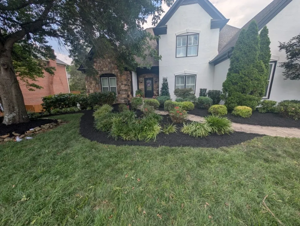 Custom landscape design near you in Knoxville, TN by Second Chance Landscaping