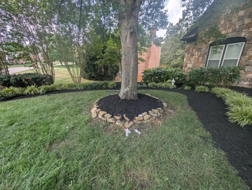 Affordable landscape installation in Knoxville, TN by Second Chance Landscaping