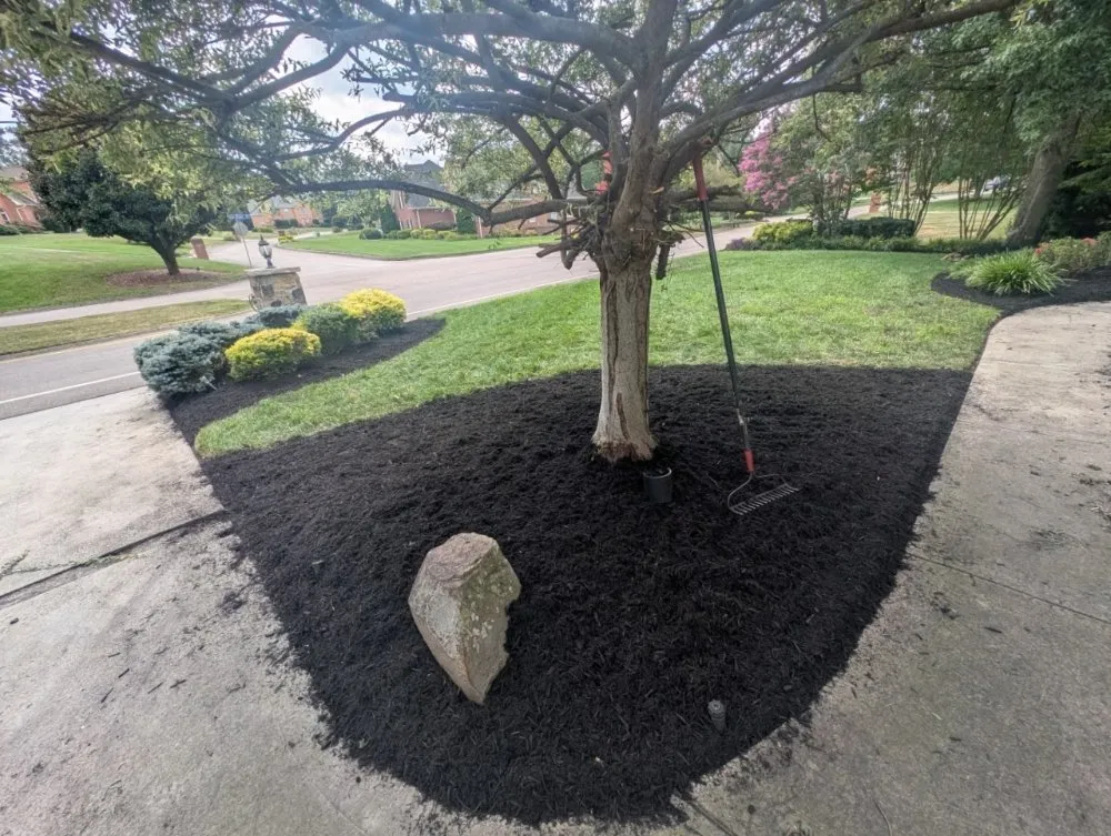 Top-rated landscaping services in Knoxville, TN by Second Chance Landscaping