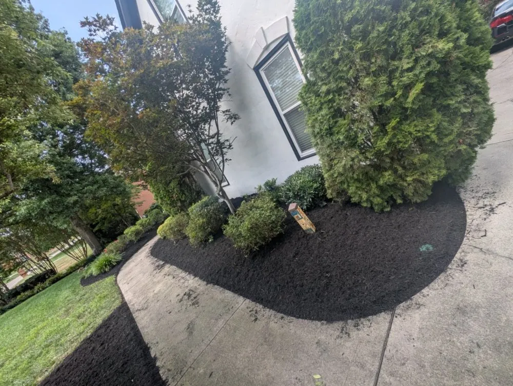 Trusted residential landscaping in Knoxville, TN - Second Chance Landscaping