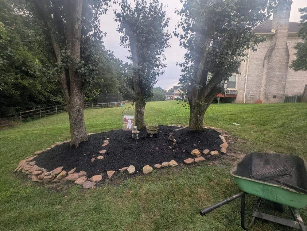 Affordable outdoor landscaping in Knoxville, TN by Second Chance Landscaping