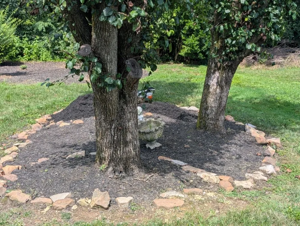 Expert yard cleanup service experts serving Knoxville, TN - Second Chance Landscaping