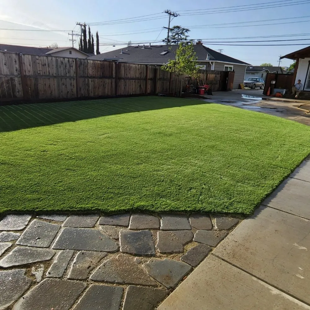 Top-rated lawn care service for year-round maintenance in Antioch, CA by Second Generation Landscaping