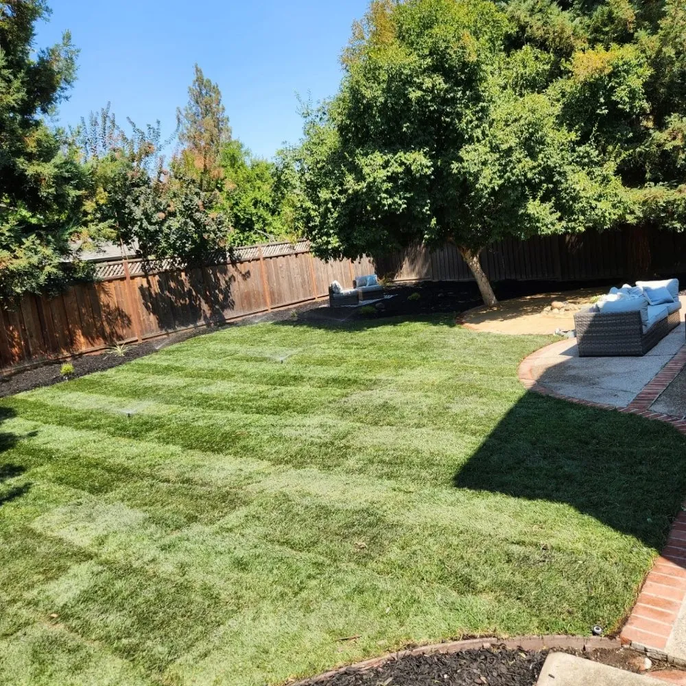Local landscaping services for outdoor upgrades in Antioch, CA by Second Generation Landscaping
