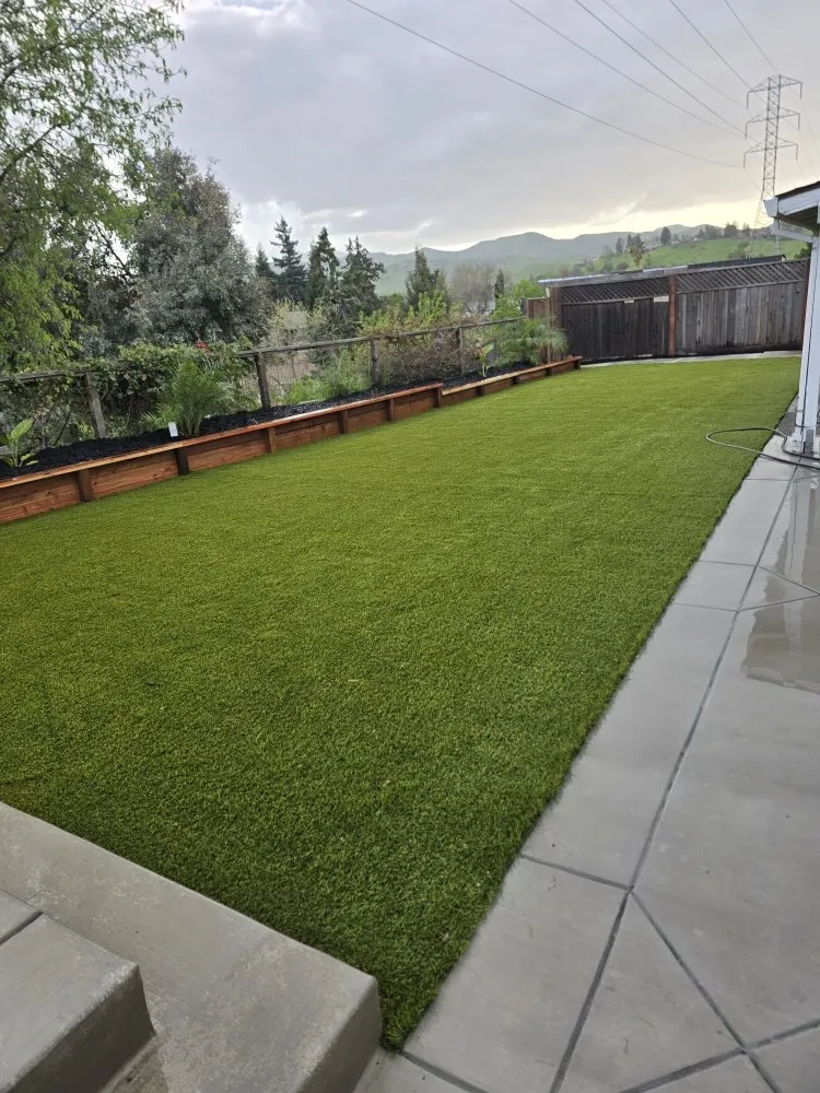 Expert yard cleanup service experts serving Antioch, CA - Second Generation Landscaping