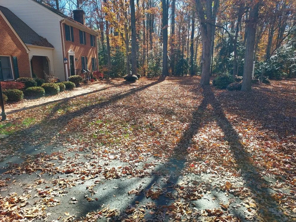 Top-rated garden landscaping near you across King George, VA - Second Glance Lawn and Landscape