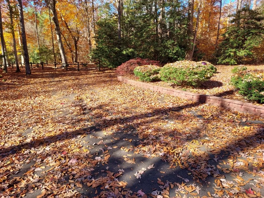 Trusted residential landscaping for year-round maintenance in King George, VA by Second Glance Lawn and Landscape