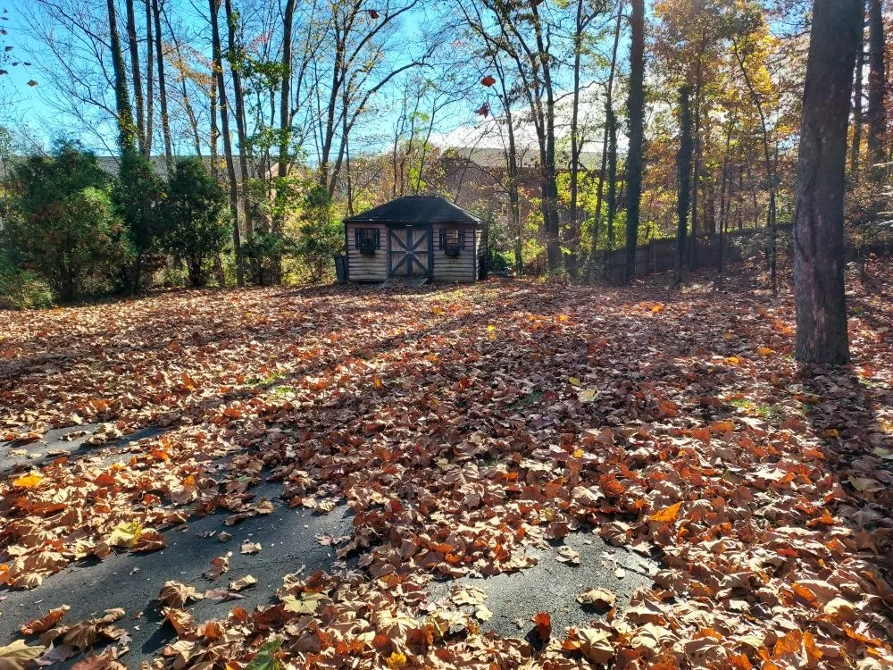 Affordable yard maintenance in King George, VA - Second Glance Lawn and Landscape