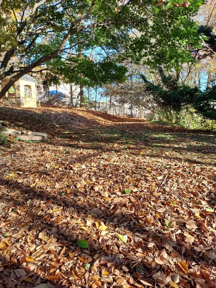 Trusted yard maintenance in King George, VA - Second Glance Lawn and Landscape