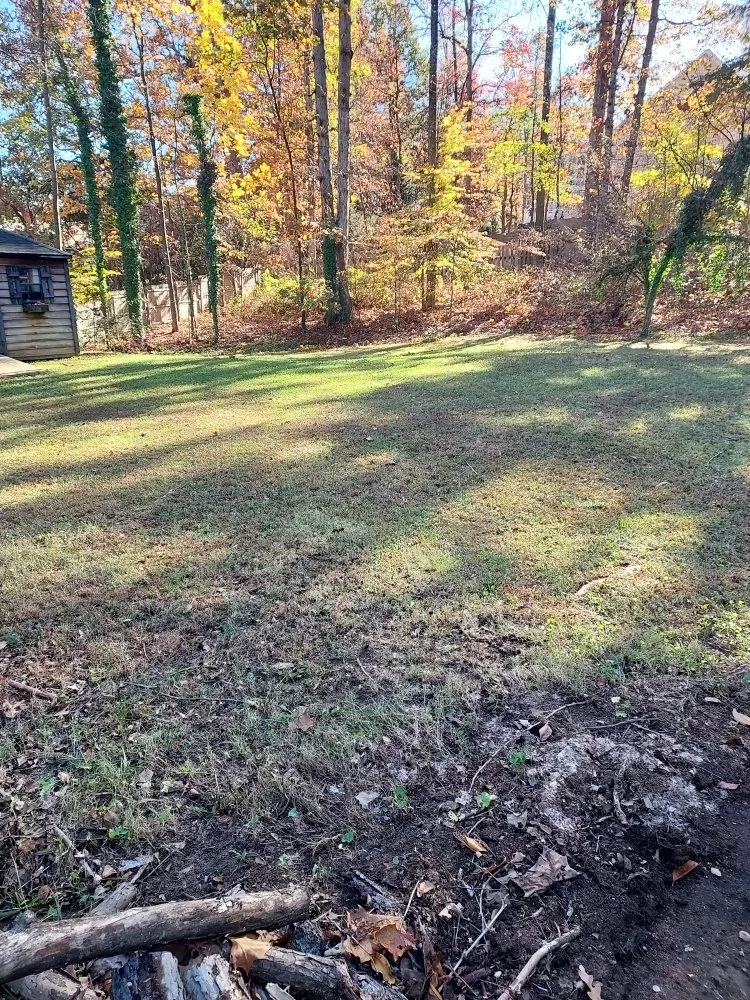 Top-rated residential landscaping for beautiful yards in King George, VA by Second Glance Lawn and Landscape