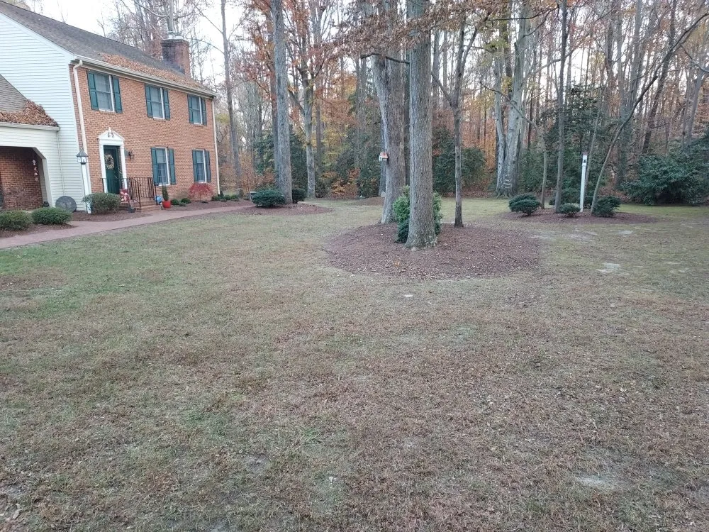 Top-rated landscape design in King George, VA by Second Glance Lawn and Landscape