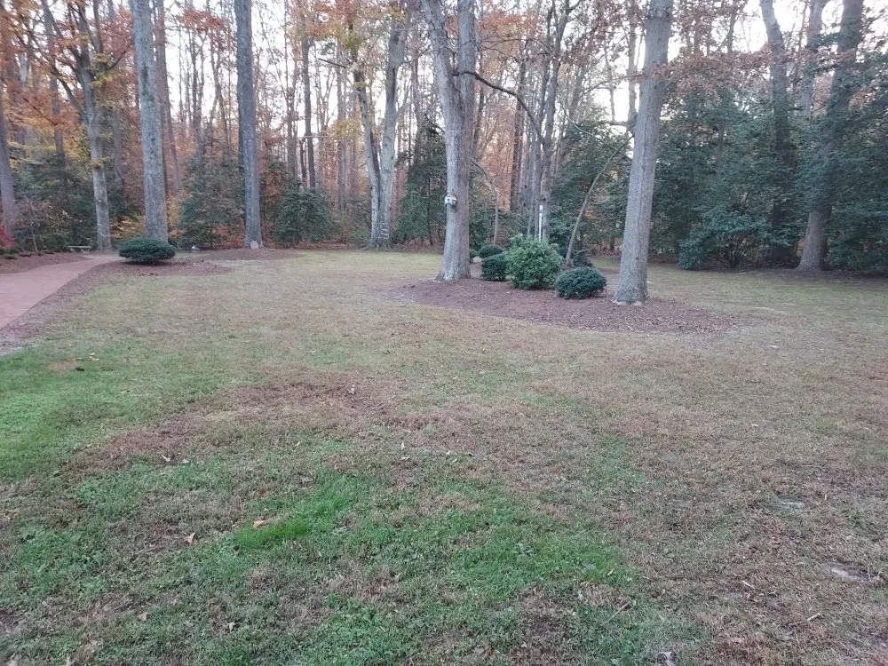 Professional landscape installation with custom design across King George, VA - Second Glance Lawn and Landscape