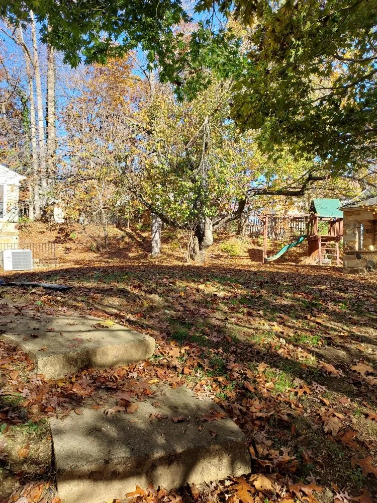 Affordable outdoor landscaping for homes across King George, VA - Second Glance Lawn and Landscape