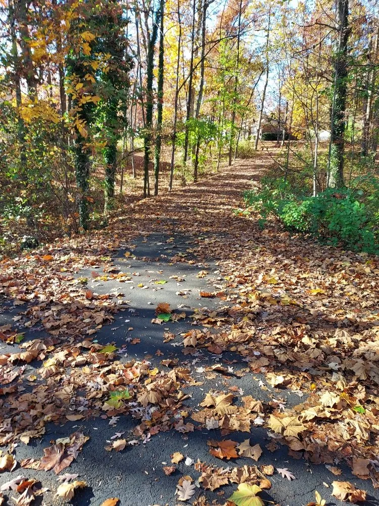 Affordable lawn mowing service with custom design in King George, VA by Second Glance Lawn and Landscape