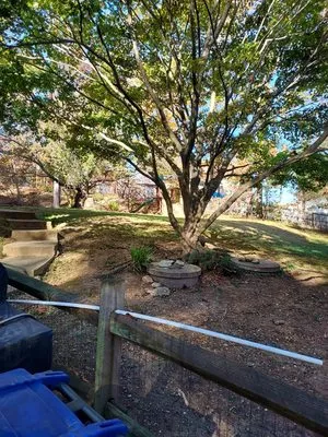 Second Glance Lawn and Landscape