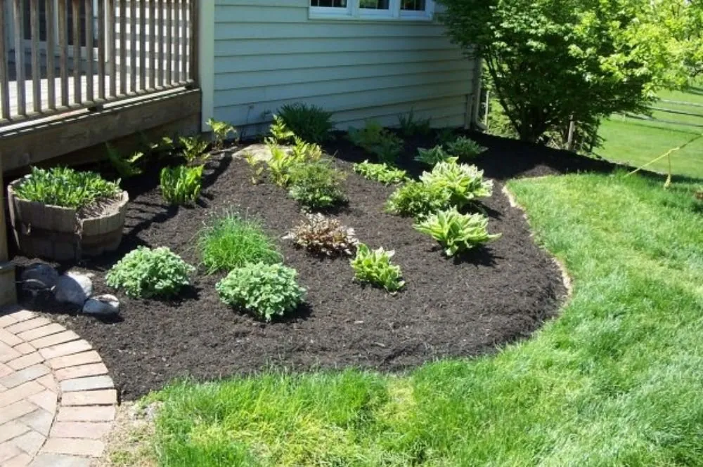 Expert lawn mowing service experts serving Macedon, NY - Second Look Maintenance