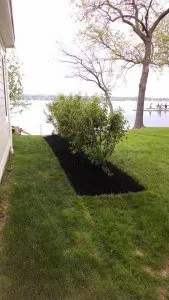 Top-rated yard cleanup service for residential properties in Macedon, NY by Second Look Maintenance