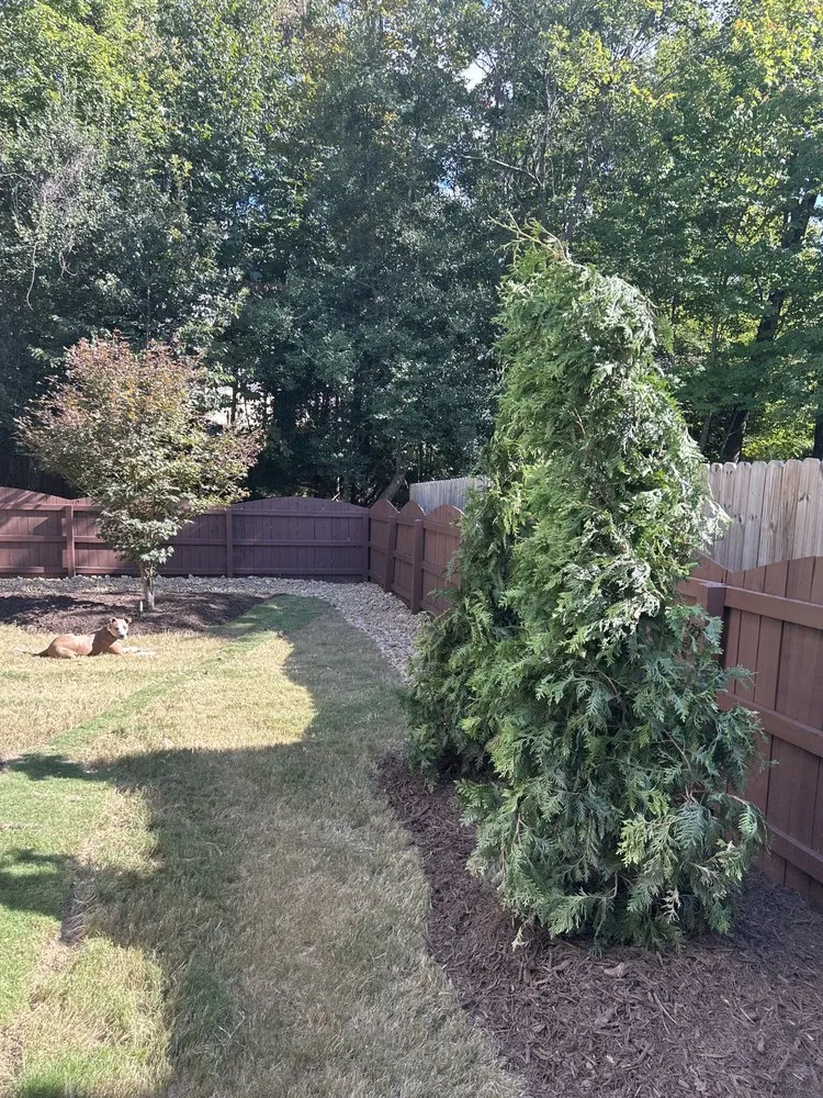 Trusted garden landscaping for outdoor upgrades in Apex, NC by Second Nature