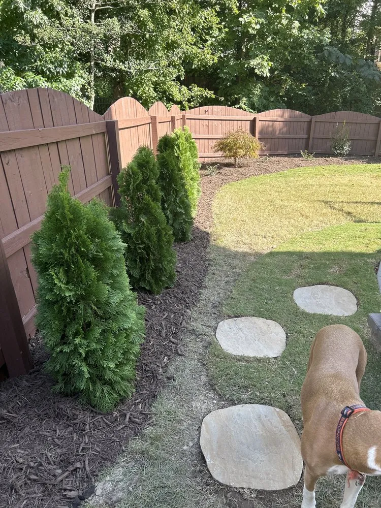 Reliable yard maintenance for outdoor upgrades in Apex, NC by Second Nature