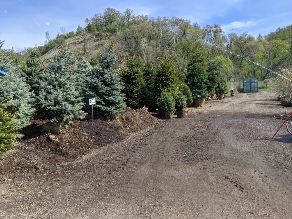 Trusted yard cleanup service in Readstown, WI by Second Nature at Reads Creek