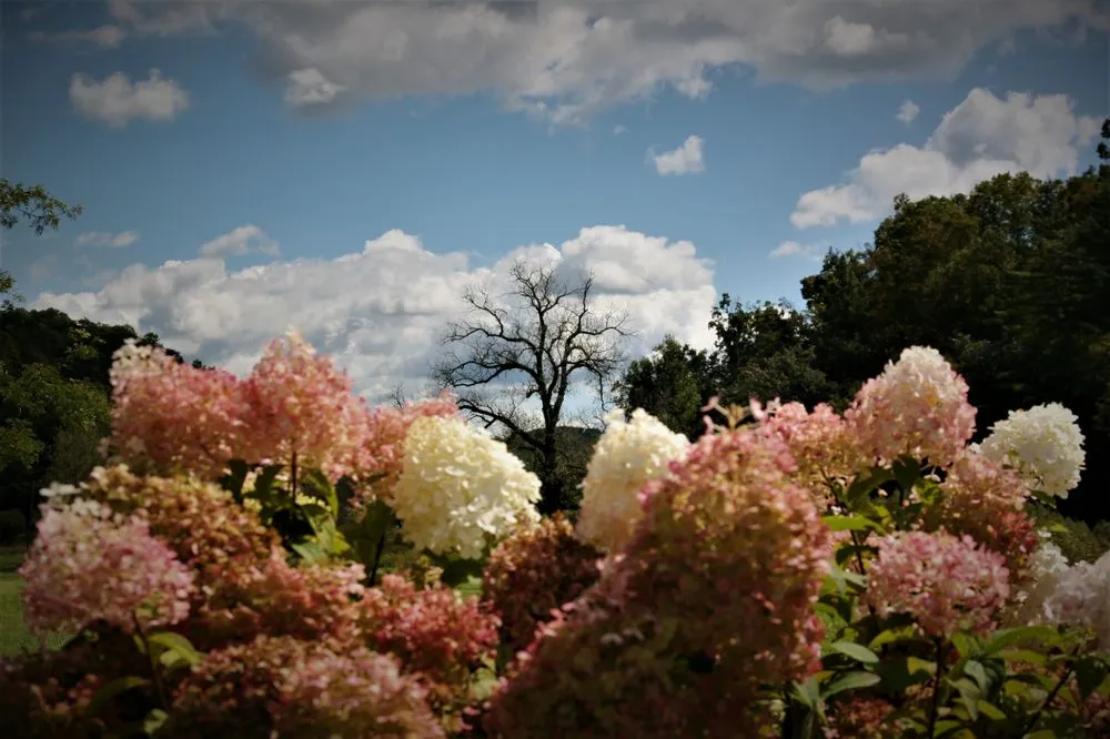 Trusted garden landscaping experts serving Readstown, WI - Second Nature at Reads Creek