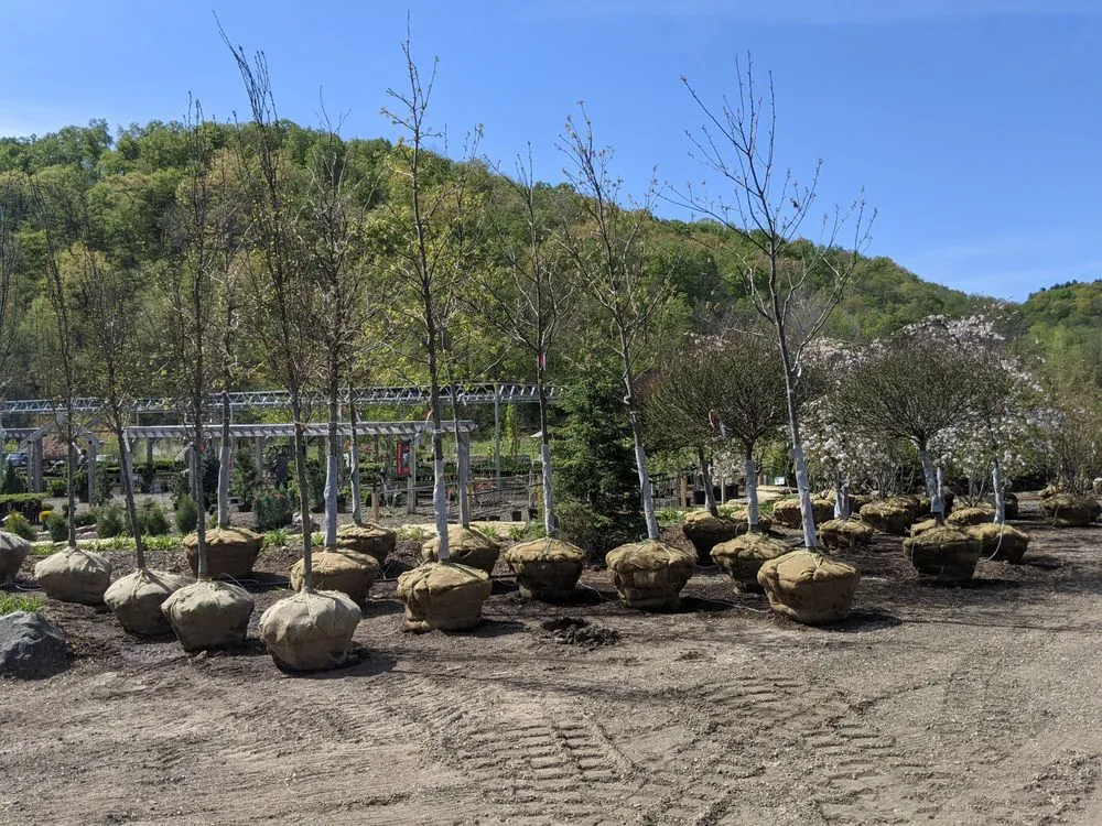 Custom yard maintenance experts serving Readstown, WI - Second Nature at Reads Creek