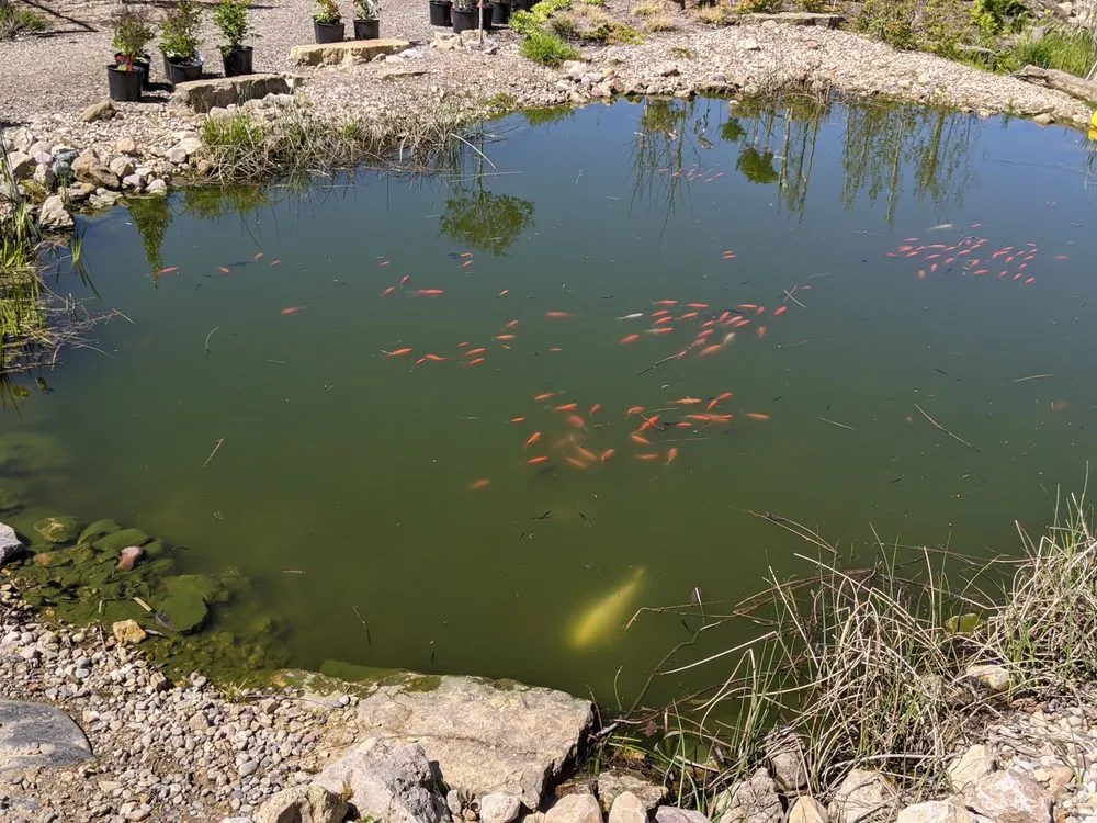 Local lawn care service in Readstown, WI - Second Nature at Reads Creek