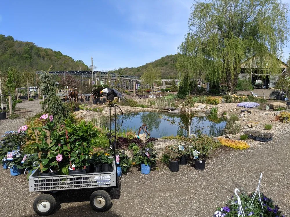 Affordable lawn mowing service experts serving Readstown, WI - Second Nature at Reads Creek
